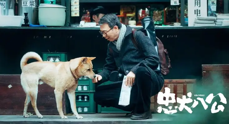 在海外怎样看中国直播节目指南